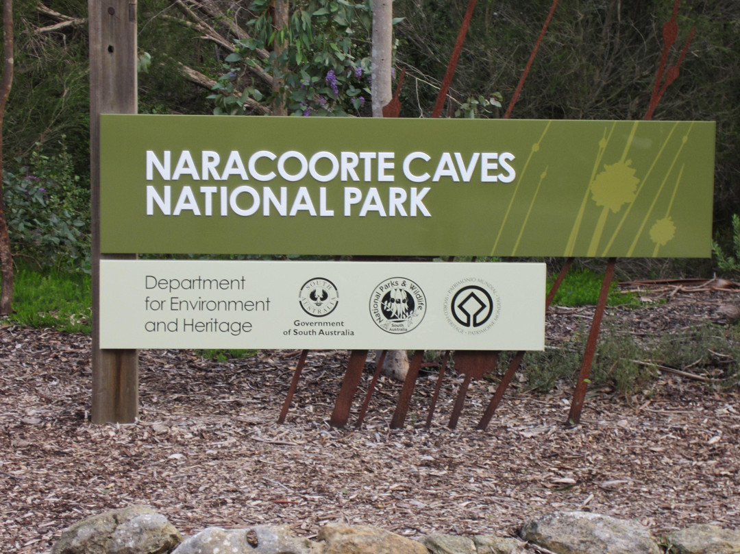 Naracoorte Caves National Park-Naracoorte必去景点