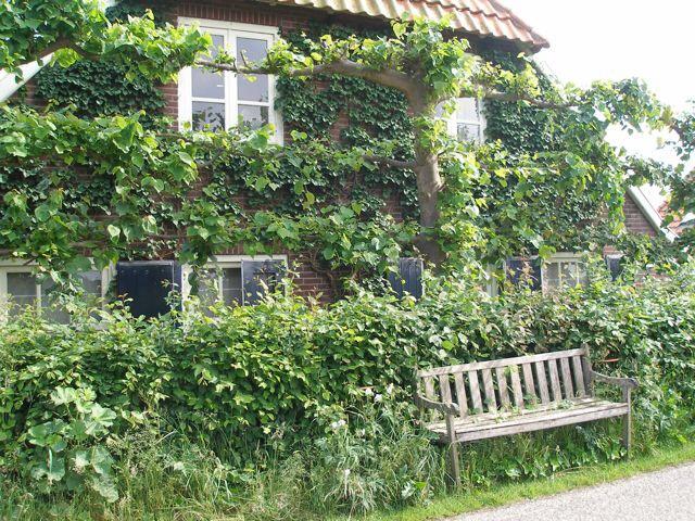 Pluktuin Theetuin Stadsland-官方