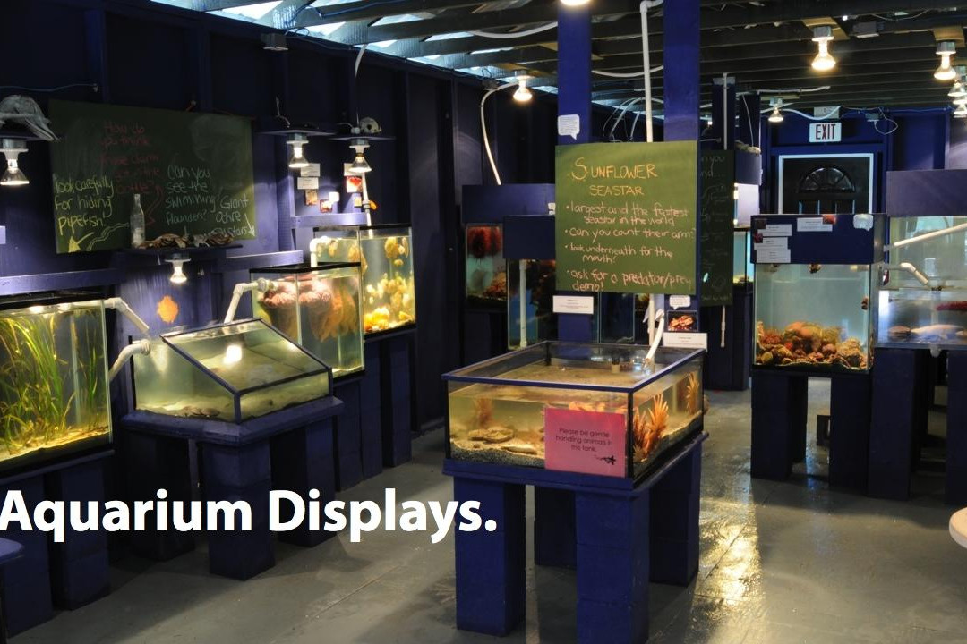 Discovery Passage Aquarium景点图片