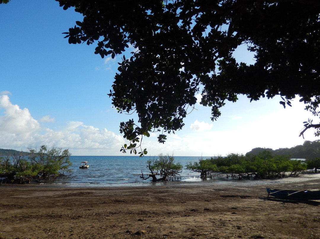 Abalone Plongée-Boueni必去景点