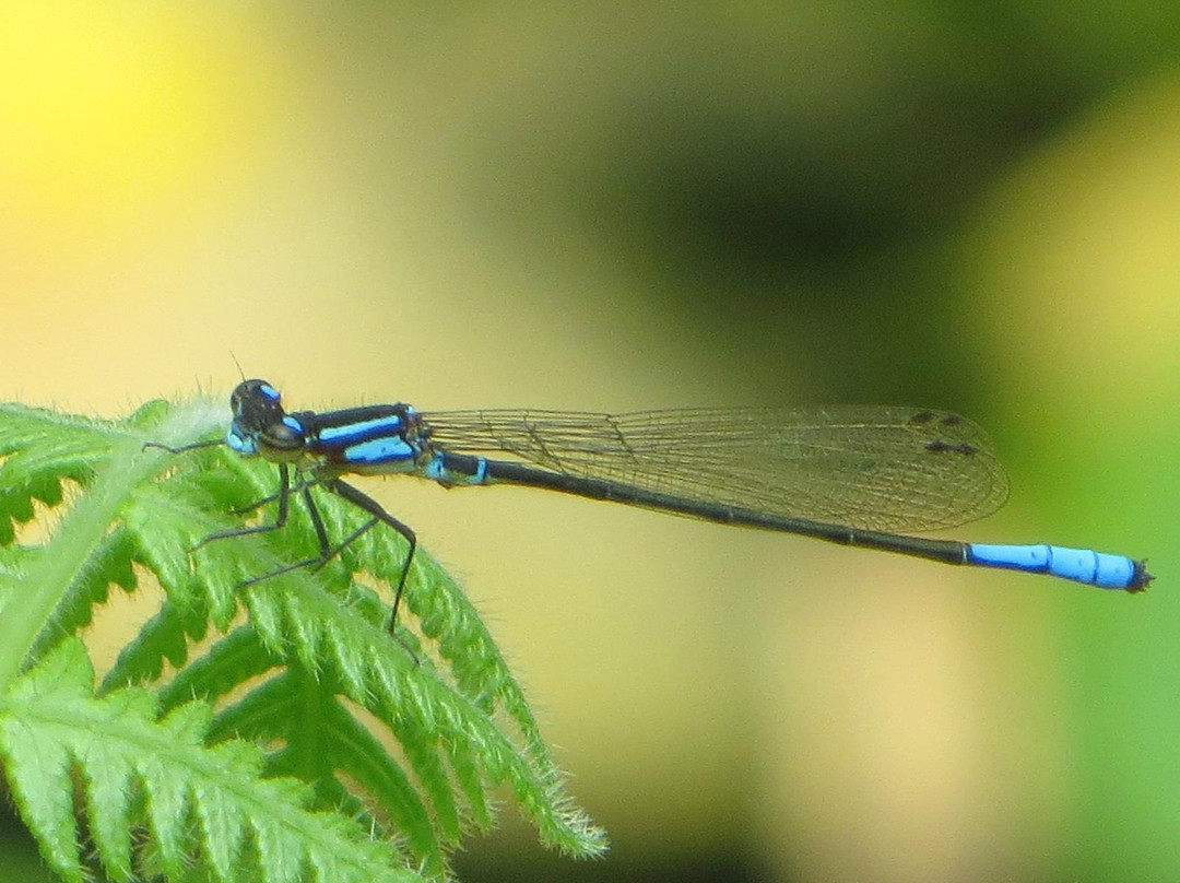 Jardin Botanico de Bogota Jose Celestino Mutis-波哥大必去景点