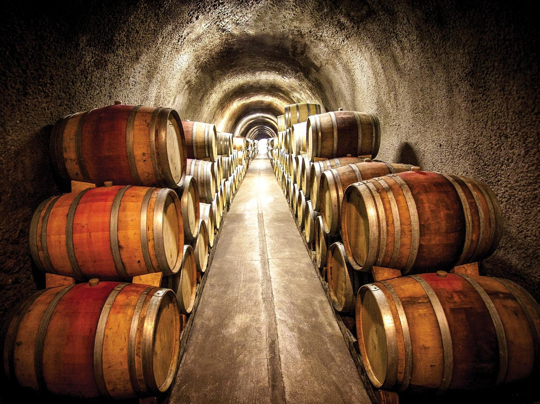 Fritz Underground Winery景点图片