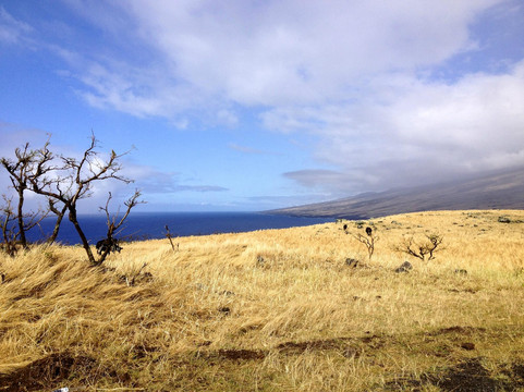 Maui Mana Adventures-基黑必去景点