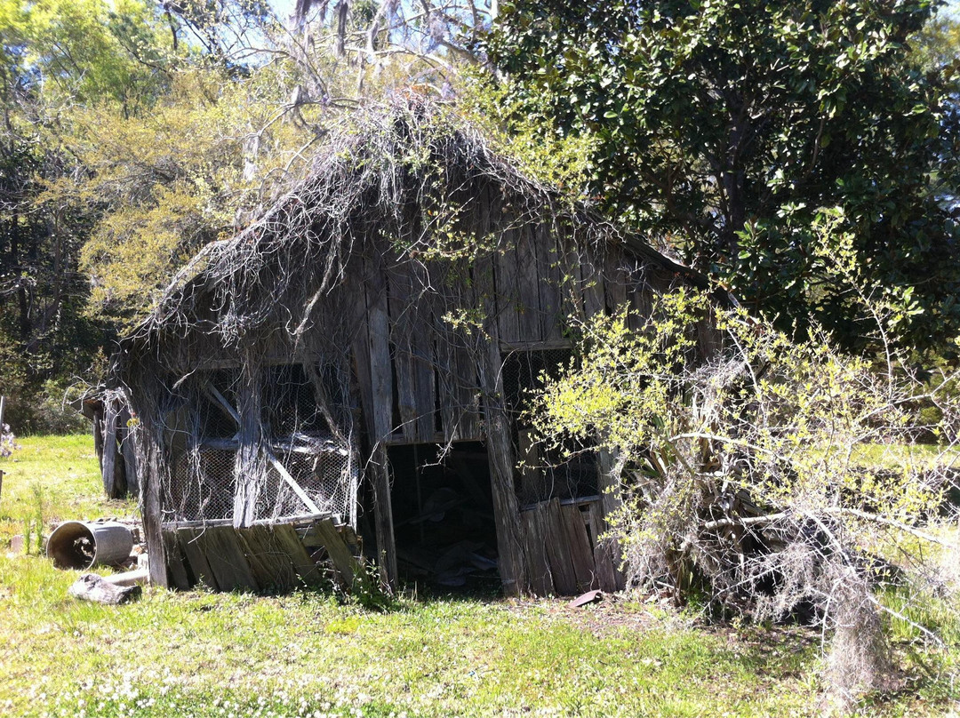 Swift- Coles Historic Home-Bon Secour必去景点