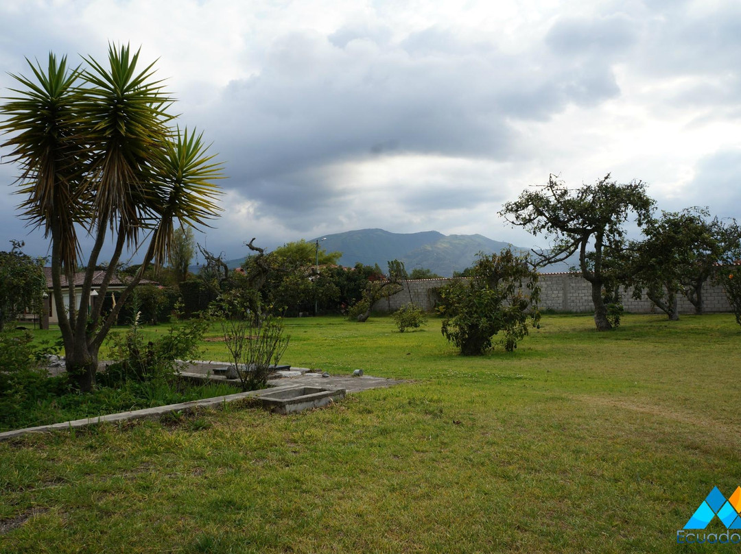 Mountain Views Inn主图