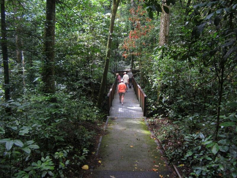 Perentie Tours-凯恩斯必去景点