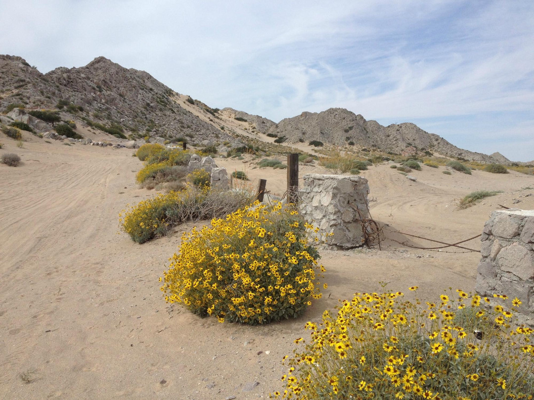 The Reef RV Park