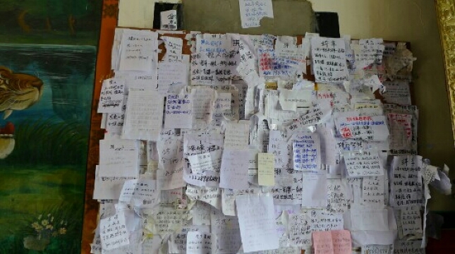 拉萨八朗学酒店（八廓街店）-客卧