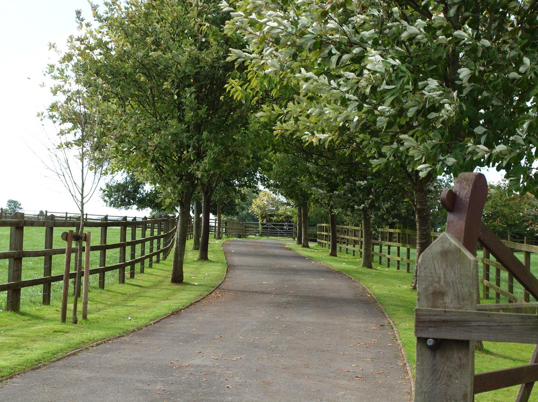 Green Lane Farm B&B主图