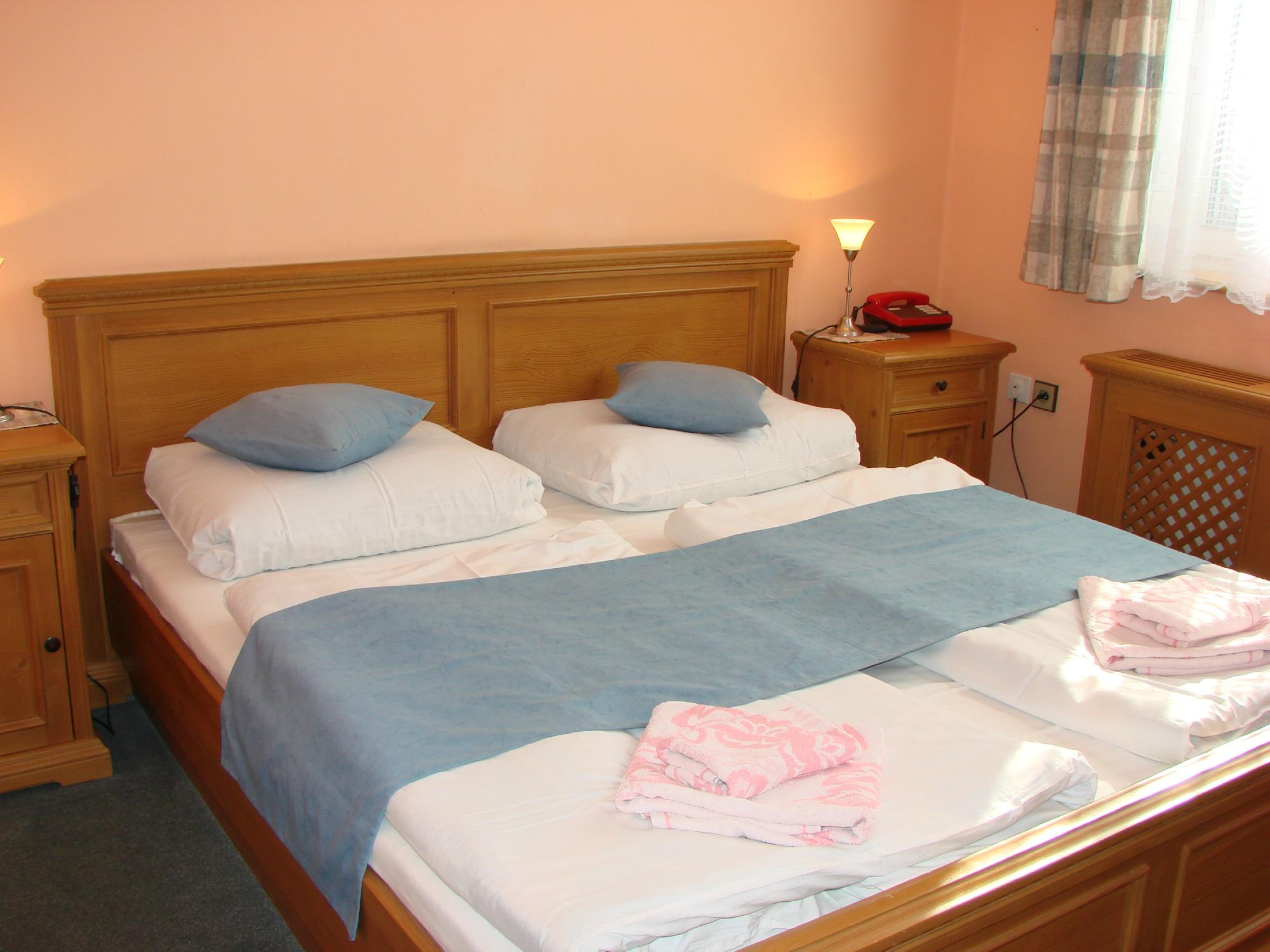 Hotel Soudek-客卧