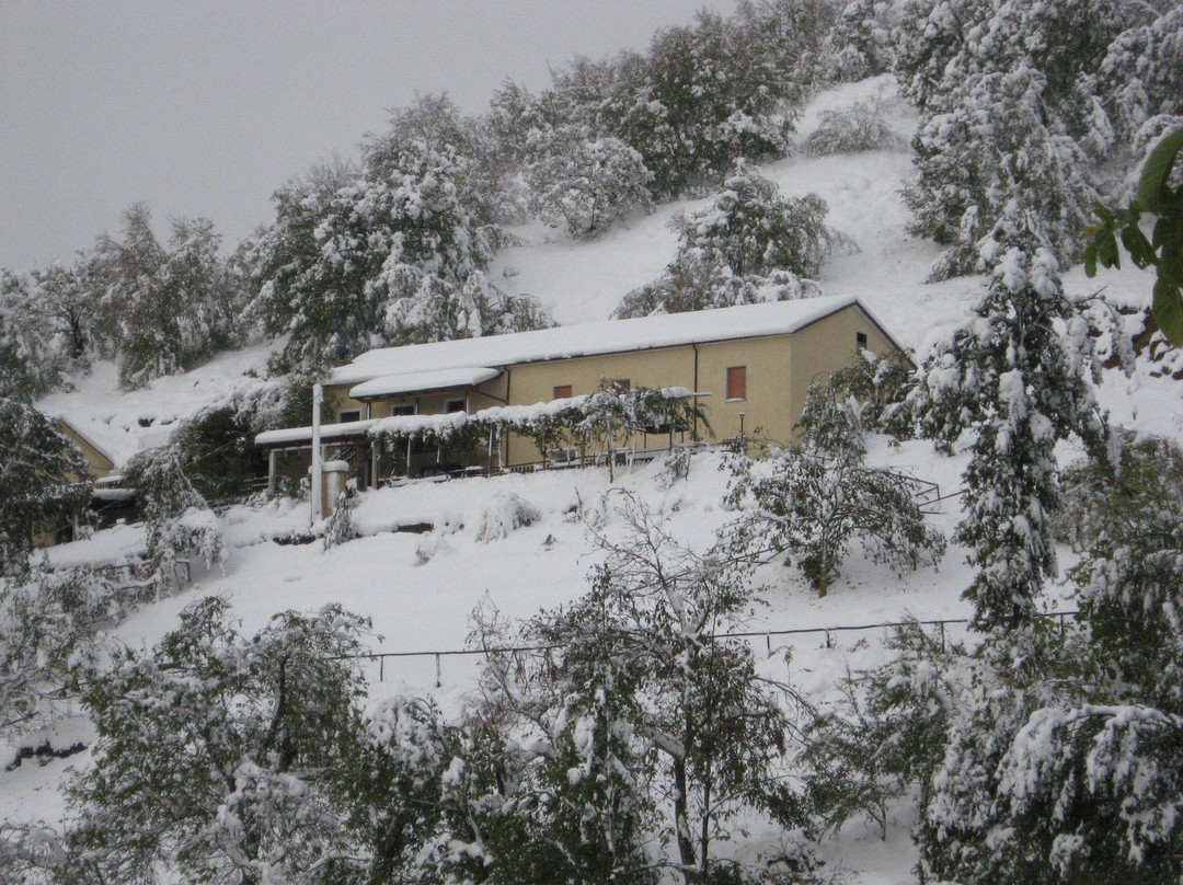 Agriturismo Il Poggio Di Valle Lunga