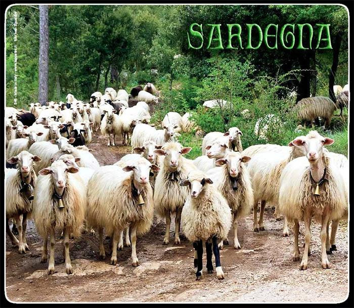 S'Arregordu - Candele Artigianali e Souvenirs della Sardegna景点图片