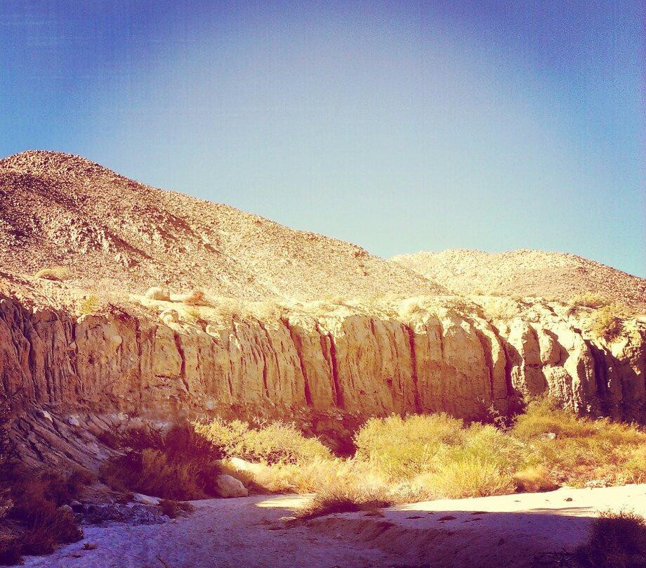 Agua Caliente County Park Campground