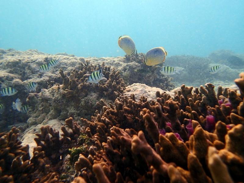 大皇帝岛-大皇帝岛必去景点