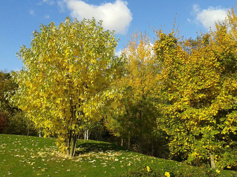 巴黎风情园-巴黎必去景点