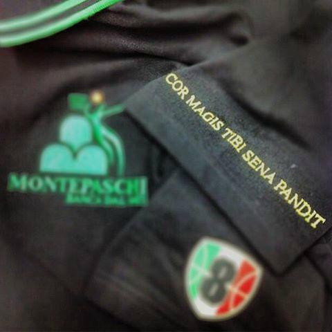 Mens Sana Basket Siena-锡耶纳必去景点