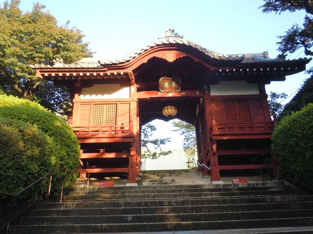 Gokoku-ji Temple景点图片