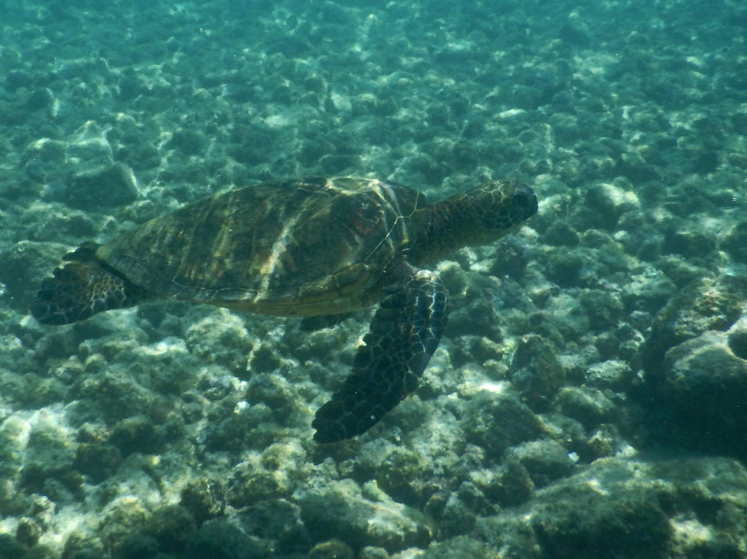 海滨公园-凯乌渥必去景点