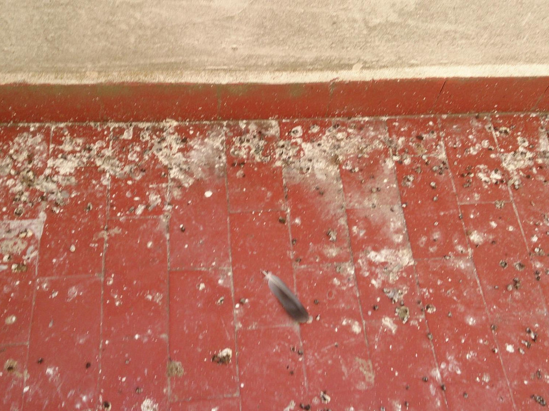 胡安卡洛斯一世酒店主图