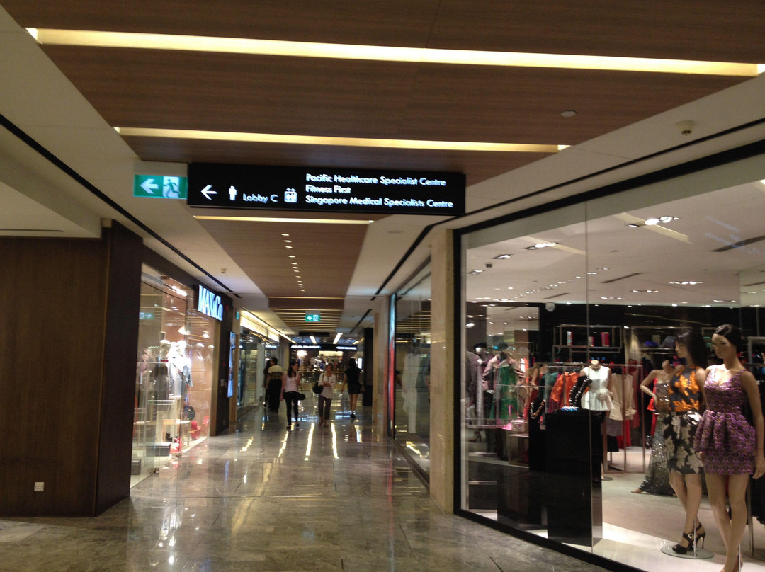 Paragon-新加坡必去景点