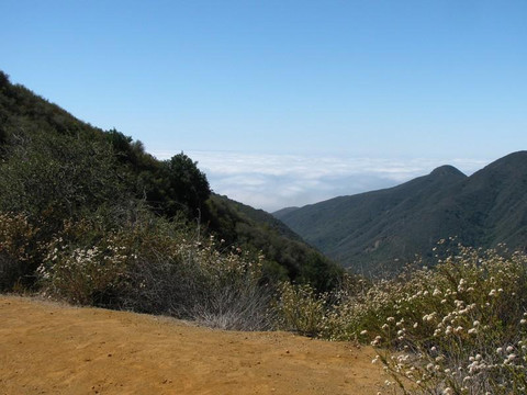 Topanga State Park-洛杉矶必去景点