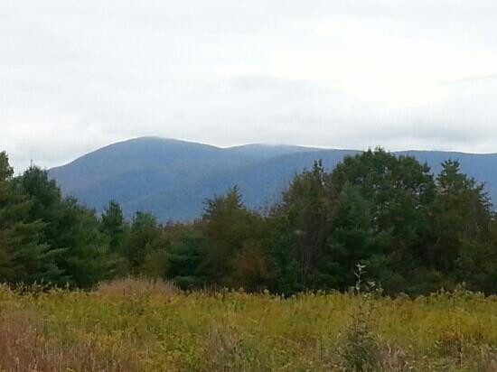 Mountain Meadow Preserve-威廉斯敦必去景点