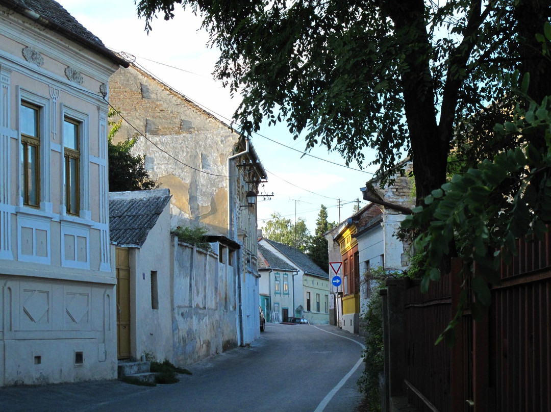 Sremski Karlovci旅游攻略图片