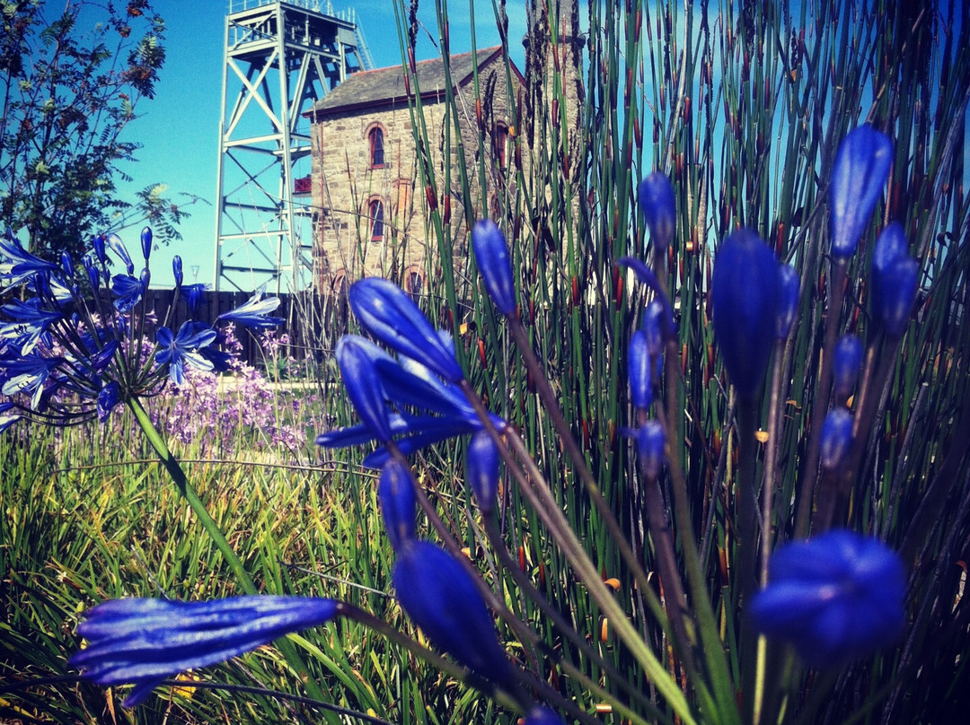 Heartlands-Pool必去景点