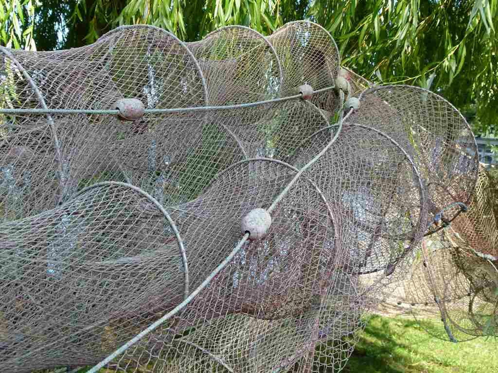 沙尔湖生物圈保留地景点图片