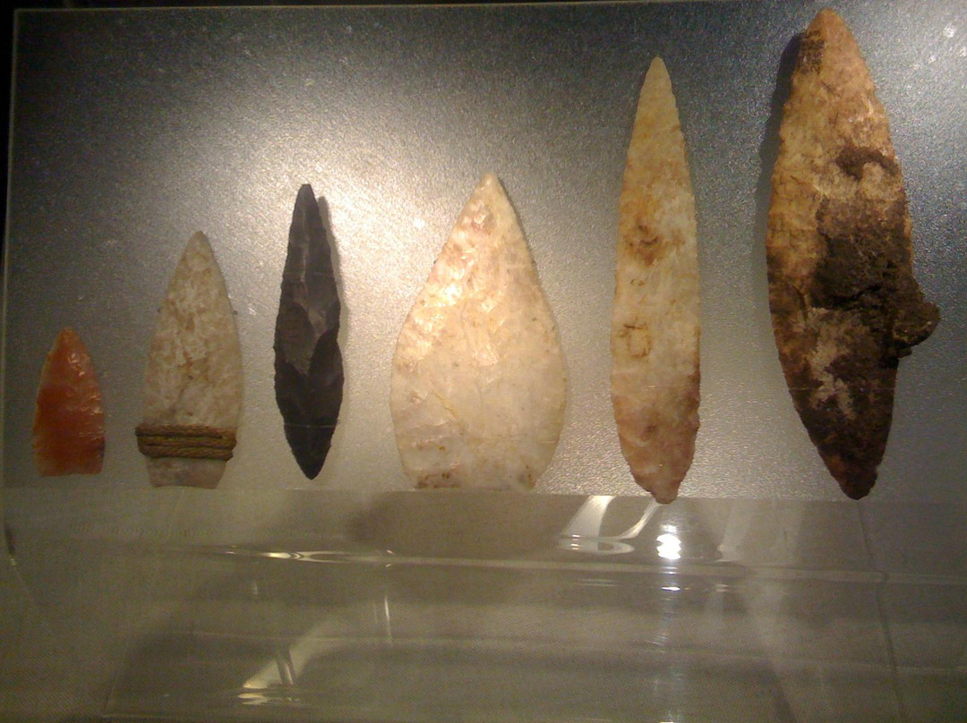 Museo Momias Chinchorro-阿里卡必去景点