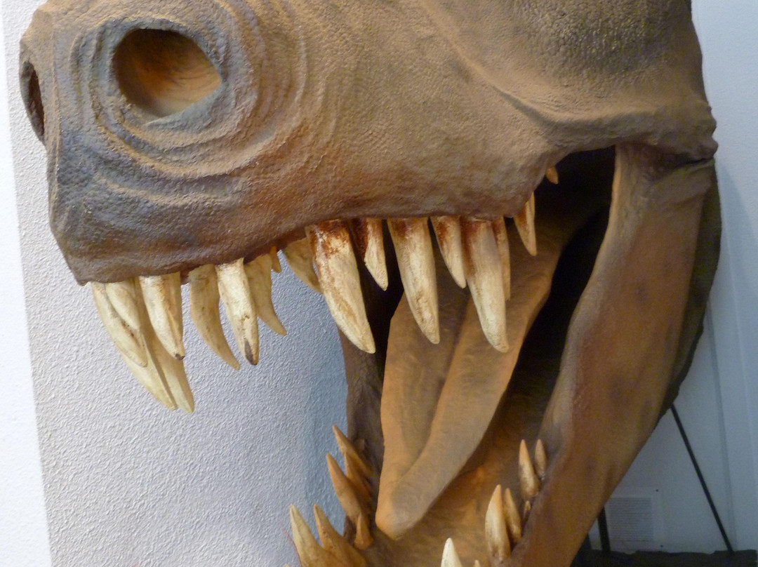 Museo de los Dinosaurios-Salas de los Infantes必去景点