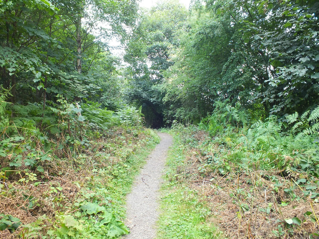 Hartshill Hayes Country Park-纽尼顿必去景点