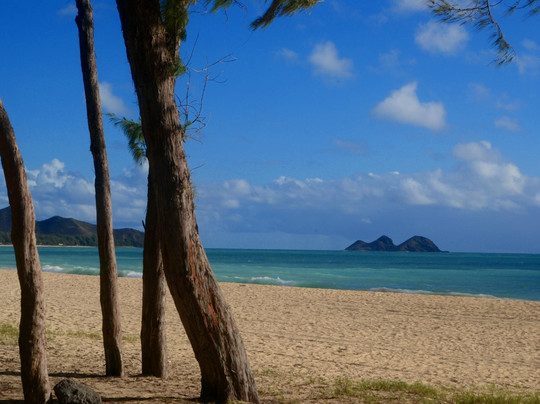 瓦胡岛摄影之旅-火奴鲁鲁必去景点