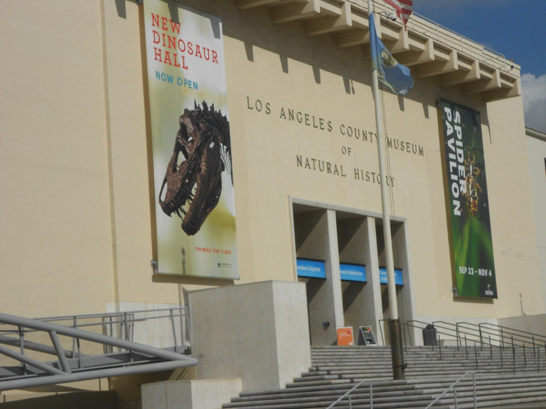 洛杉矶县自然历史博物馆-洛杉矶必去景点