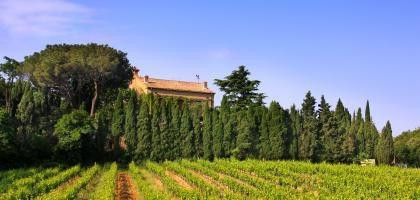 Château Beauregard Mirouze景点图片