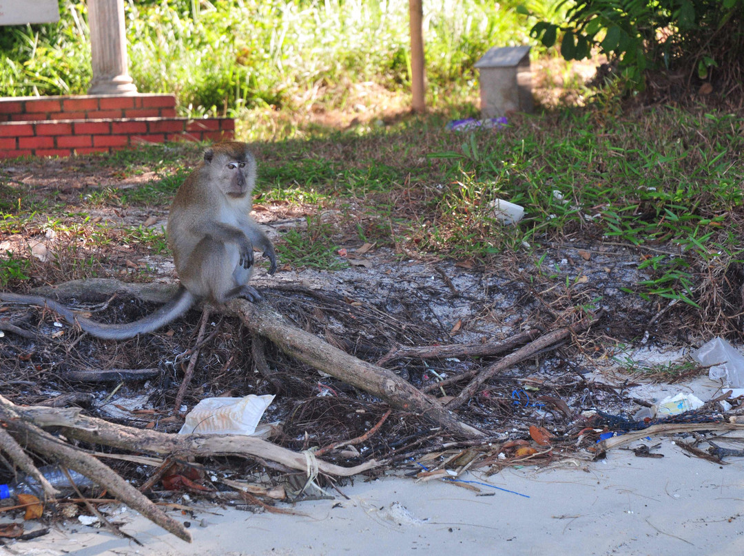 槟城国家公园-槟城岛必去景点