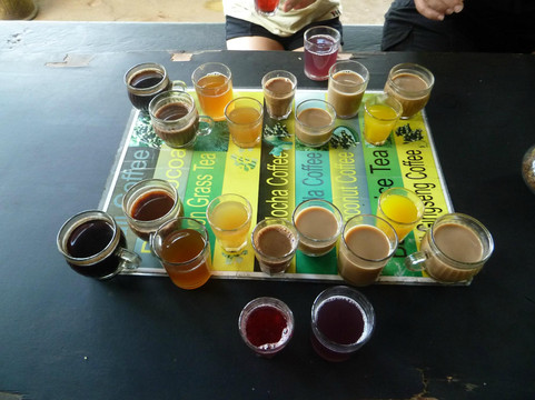 自行车游-乌布必去景点