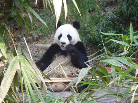 河川生态园-新加坡必去景点