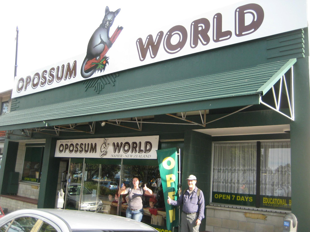 Opossum World-纳皮尔必去景点