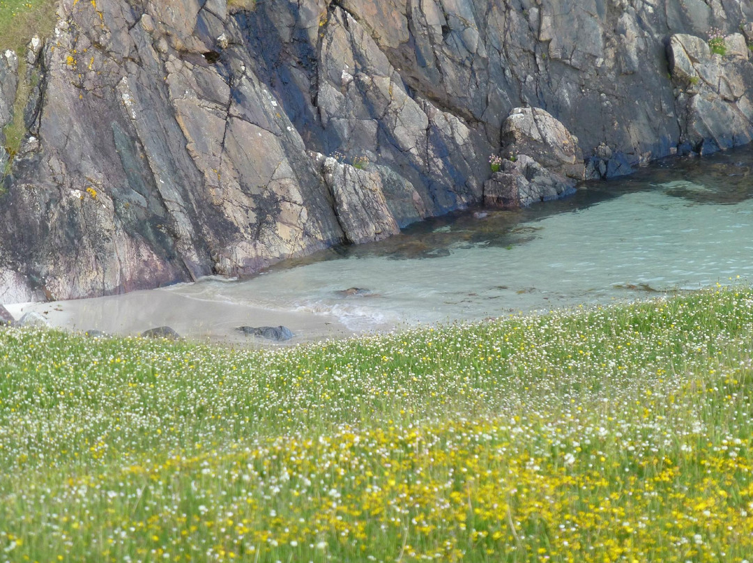 Split Rock Croft B&B主图