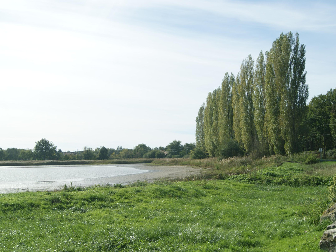 Etangs de la Brenne-Saint Michel en Brenne必去景点