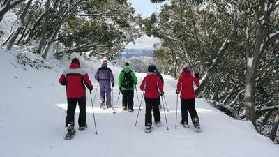Ducks & Drakes-Mount Buller必去景点