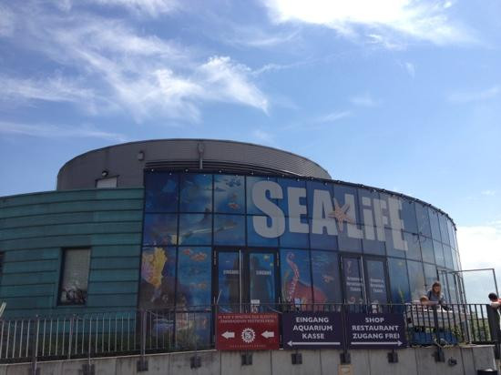 Sea Life Konigswinter-科尼希斯温特必去景点
