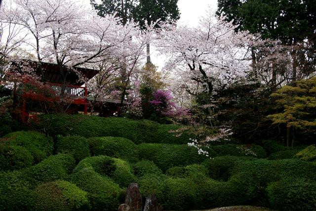 Kōmyō-in Temple-京都市必去景点
