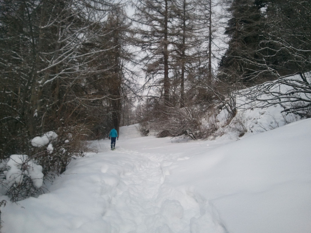 Parco Naturale del Gran Bosco di Salbertrand-Salbertrand必去景点