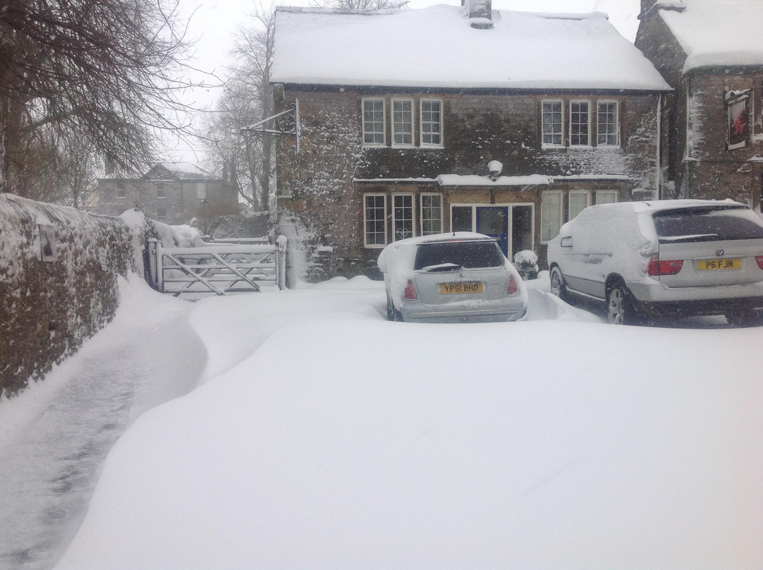 Litton旅游攻略图片