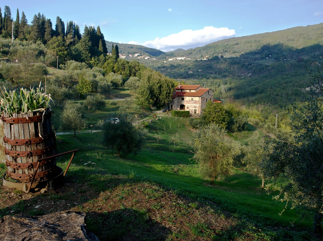 Castello del Trebbio-Santa Brigida必去景点