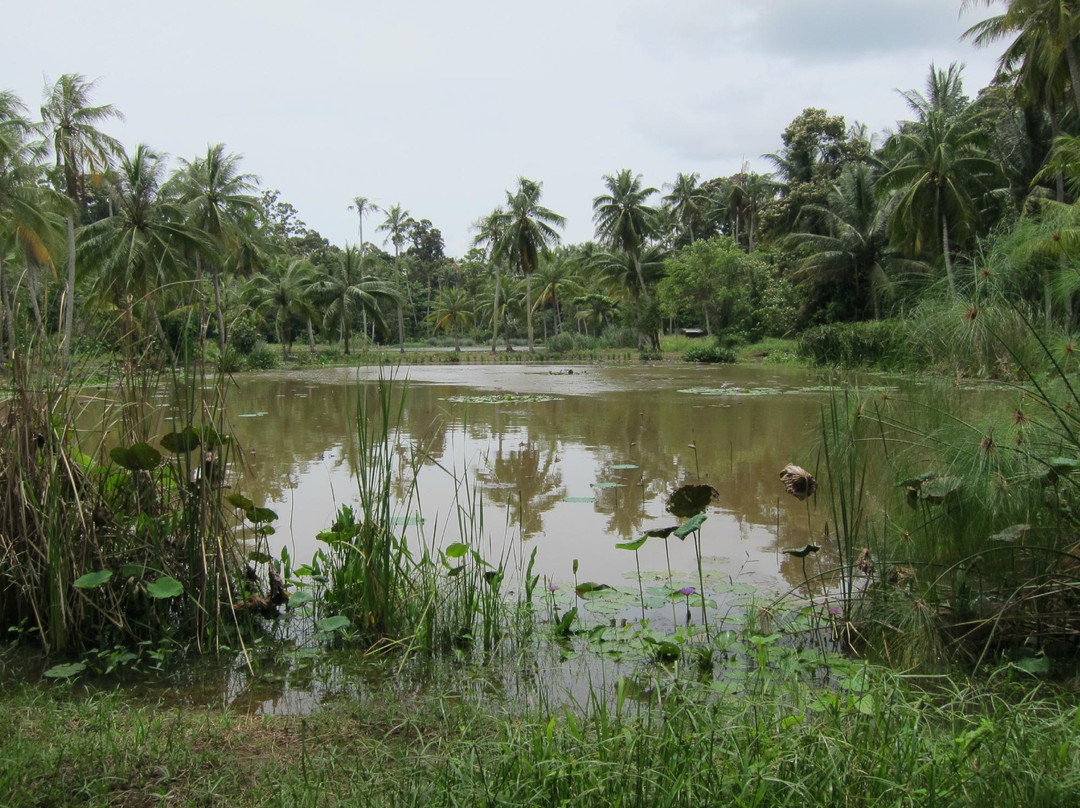 Adventures by Asian Detours-新加坡必去景点