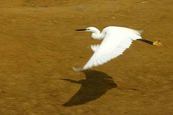 Nature Miraikan主图