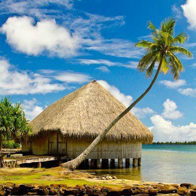 Island Eco Tours : Huahine景点图片